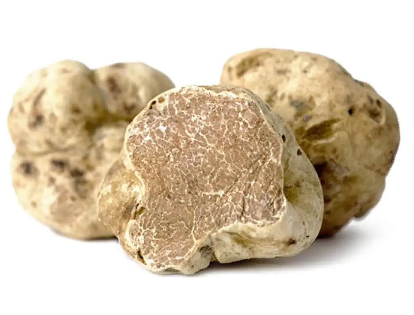 tartufo bianco