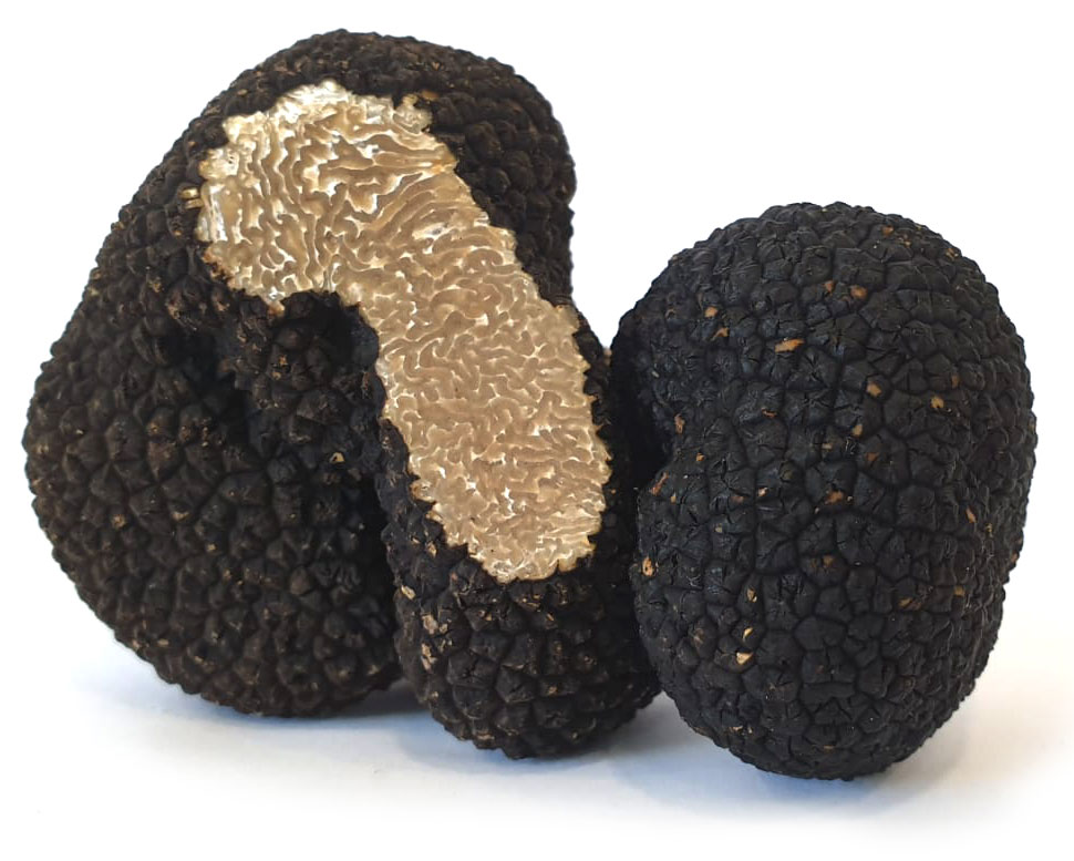 tartufo estivo